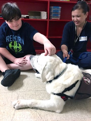 A Northeast Middle School student pets Samson, a therapy dog who belongs to Blanchfield Army Community Hospital pathology technician and animal assisted therapy volunteer Angela Barnett. Barnett, Samson and other hospital volunteers visited Northeast Middle School recently in support of a Partners in Education, a program that connects organizations in the community to help support local schools. (U.S. Army photo by Maria Yager)