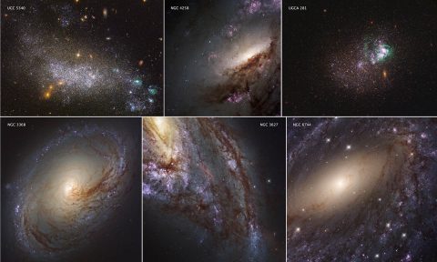 These six images represent the variety of star-forming regions in nearby galaxies. The galaxies are part of the Hubble Space Telescope's Legacy ExtraGalactic UV Survey (LEGUS), the sharpest, most comprehensive ultraviolet-light survey of star-forming galaxies in the nearby universe. (NASA/ESA/LEGUS team)
