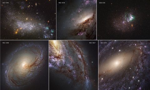 These six images represent the variety of star-forming regions in nearby galaxies. The galaxies are part of the Hubble Space Telescope's Legacy ExtraGalactic UV Survey (LEGUS), the sharpest, most comprehensive ultraviolet-light survey of star-forming galaxies in the nearby universe. (NASA/ESA/LEGUS team) These six images represent the variety of star-forming regions in nearby galaxies. The galaxies are part of the Hubble Space Telescope's Legacy ExtraGalactic UV Survey (LEGUS), the sharpest, most comprehensive ultraviolet-light survey of star-forming galaxies in the nearby universe. (NASA/ESA/LEGUS team)