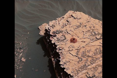 NASA's Curiosity rover successfully drilled a 2-inch-deep hole in a target called "Duluth" on May 20. It was the first rock sample captured by the drill since October 2016. This image was taken by Curiosity's Mast Camera (Mastcam) on Sol 2057. It has been white balanced and contrast-enhanced. (NASA/JPL-Caltech/MSSS)