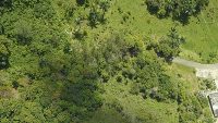 Damage from Hurricane Maria is seen from the air, as the G-LiHT team captured this image of a forest near Arecibo in 2017. (NASA)