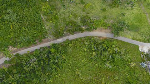 Damage from Hurricane Maria is seen from the air, as the G-LiHT team captured this image of a forest near Arecibo in 2018. (NASA)