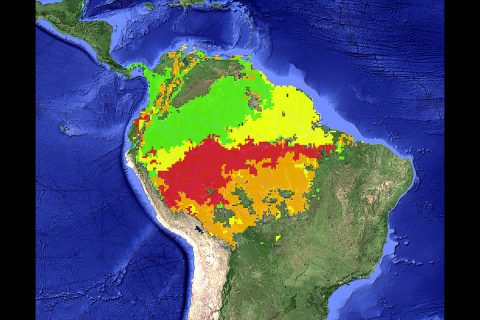This image, based on measurements taken by the Tropical Rainfall Measuring Mission (TRMM), shows the areas of the Amazon basin that were affected by the severe 2005 drought. Areas in yellow, orange, and red experienced light, moderate, and severe drought, respectively. Green areas did not experience drought. (NASA/JPL-Caltech /Google)