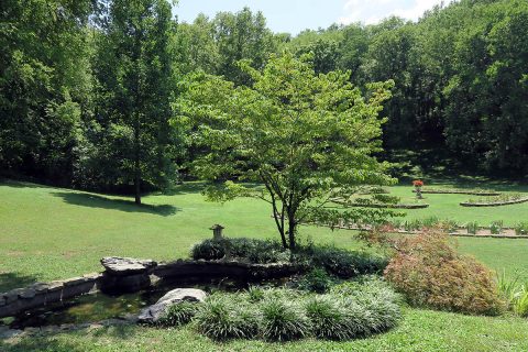 Tennessee Department of Agriculture has information about tree care and maintenance including selection, planting, and pruning.