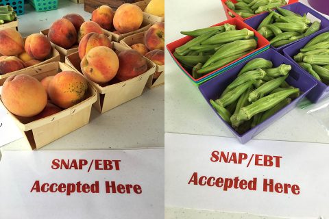 Buying Farm fresh foods is a “Snap” at Tennessee Farmers Markets.
