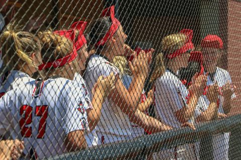 Austin Peay Softball teams looks forward to the coming season. (APSU Sports Information)