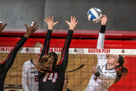 Austin Peay Women's Volleyball gets three set win over Middle Tennesse Friday night in Murfreesboro. (APSU Sports Information)