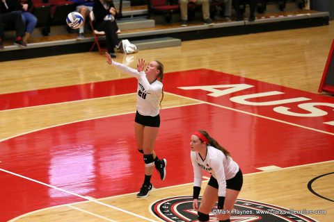 Austin Peay Women's Volleyball begins home schedule Tuesday when it hosts Alabama A&M at the Dunn Center. 