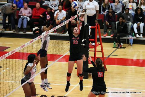 Austin Peay Women's Volleyball returns to the Dunn Center for four game homestand. (APSU Sports Information)