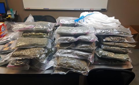Clarksville Police with the aid of the Montgomery County Sheriff’s Office K9 unit make seizure of almost 100 pounds of marijuana, drug paraphernalia, and marijuana oil and $2,000 in cash. Clarksville Police with the aid of the Montgomery County Sheriff’s Office K9 unit make seizure of almost 100 pounds of marijuana, drug paraphernalia, and marijuana oil and $2,000 in cash.