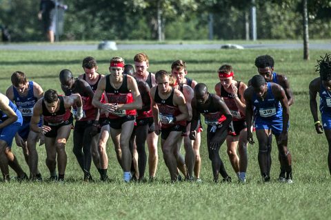 Austin Peay Men's Cross Country look to end the season strong at the Evansville Invitational Saturday morning. (APSU Sports Information)