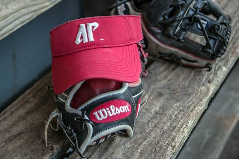 Austin Peay Women's Softball hits the road to play Evansville, Friday. (APSU Sports Information)