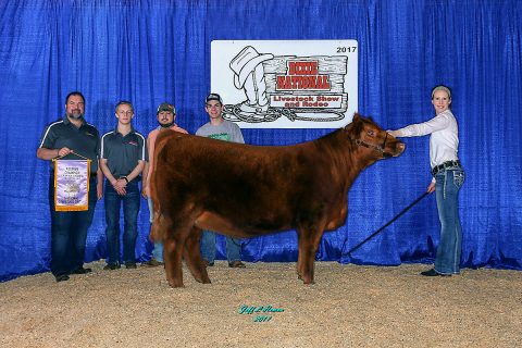 Ruby won reserve division champion at the 2017 Dixie National Livestock Show. 