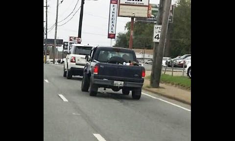 Clarksville Police are looking for the Pickup Truck in this photo for a hit and run that occurred on Providence Boulevard.