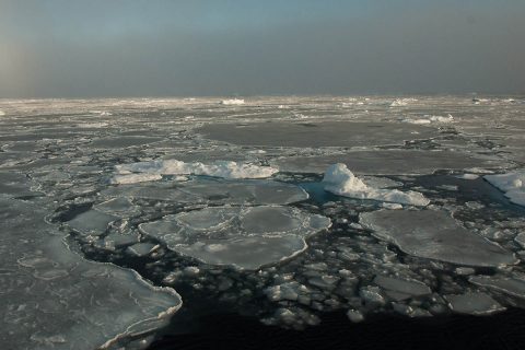 Small remnants of thicker, multiyear ice float with thinner, seasonal ice in the Beaufort Sea on September 30th, 2016. (NASA/GSFC/Alek Petty)