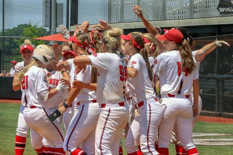 APSU Women's Softball releases 2019 Schedule. (APSU Sports Information)