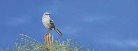 Camille Engel - Mockingbird Oil Painting