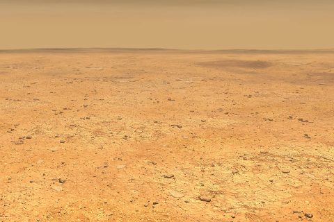This artist's concept depicts the smooth, flat ground that dominates InSight's landing ellipse in the Elysium Planitia region of Mars. (NASA/JPL-Caltech)