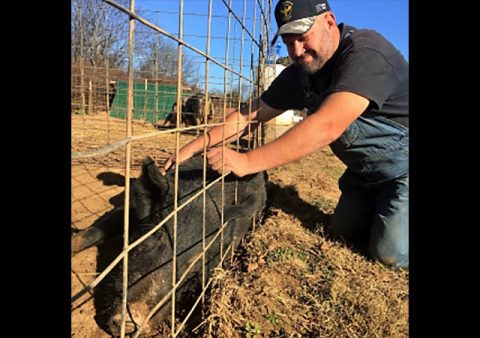 Tennessee Veteran Dennis Scales, owner of Running Hog Farm in Rutherford County. 