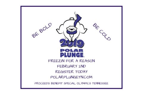 2019 Polar Plunge