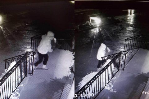 The person that stole the Christmas Decorations can be seen in these photos returning them.