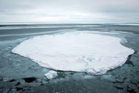 A lone Arctic sea ice floe, observed during the Beaufort Gyre Exploration Project in October 2014. (NASA/Alek Petty)