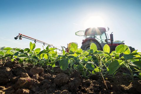 Over-the-top application on soybeans is prohibited 45 days after planting and prohibited for cotton 60 days after planting.