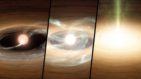 This illustration shows a young star undergoing a type of growth spurt. Left: Material from the dusty and gas-rich disk (orange) plus hot gas (blue) mildly flows onto the star, creating a hot spot. Middle: The outburst begins - the inner disk is heated, more material flows to the star, and the disk creeps inward. Right: The outburst is in full throttle, with the inner disk merging into the star and gas flowing outward (green). (Caltech/T. Pyle (IPAC)) This illustration shows a young star undergoing a type of growth spurt. Left: Material from the dusty and gas-rich disk (orange) plus hot gas (blue) mildly flows onto the star, creating a hot spot. Middle: The outburst begins - the inner disk is heated, more material flows to the star, and the disk creeps inward. Right: The outburst is in full throttle, with the inner disk merging into the star and gas flowing outward (green). (Caltech/T. Pyle (IPAC))