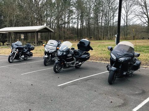 Friends out for a ride.