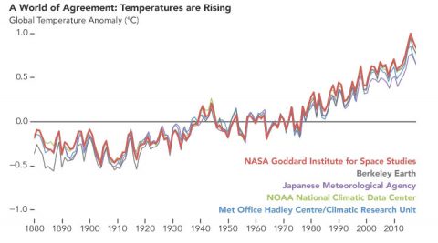 This line plot shows yearly temperature anomalies from 1880 to 2018, with respect to the 1951-1980 mean, as recorded by NASA, NOAA, the Japan Meteorological Agency, the Berkeley Earth research group, and the Met Office Hadley Centre (UK). (NASA’s Earth Observatory)