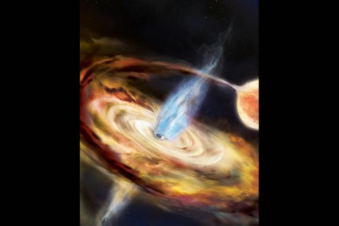 In this illustration of a newly discovered black hole named MAXI J1820+070, a black hole pulls material off a neighboring star and into an accretion disk. Above the disk is a region of subatomic particles called the corona. (Aurore Simonnet and NASA’s Goddard Space Flight Center)