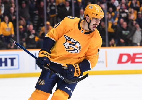 Nashville Predators center Brian Boyle (11) celebrates after scoring the game winning goal in the shootout against the Edmonton Oilers at Bridgestone Arena. (Christopher Hanewinckel-USA TODAY Sports)