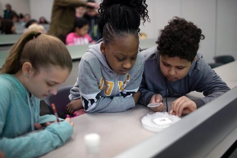 From left, Stephanie Gordon, Shakiah Vance and Kayden Binkley count their flies.