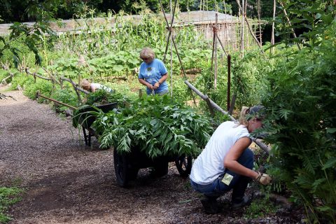 Nashville Zoo Gardening Class. (Tori Mason)