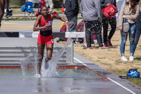 Austin Peay Track and Field's home event, Austin Peay Invitational, to be condensed into one day, Friday. (APSU Sports Information)