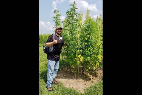 National Science Foundation fellow Josh Kraft stands with Purdue University's industrial hemp crop.