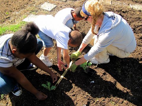 Extension Agent Karla Kean shows children how to plant vegetables during Brandon Hill Garden programs