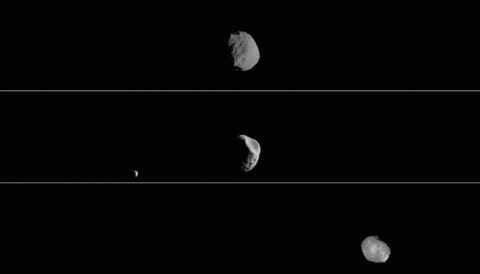 These three views of the Martian moon Phobos as viewed in visible light by NASA's 2001 Mars Odyssey orbiter. (NASA/JPL-Caltech/ASU/SSI) These three views of the Martian moon Phobos as viewed in visible light by NASA's 2001 Mars Odyssey orbiter. (NASA/JPL-Caltech/ASU/SSI)