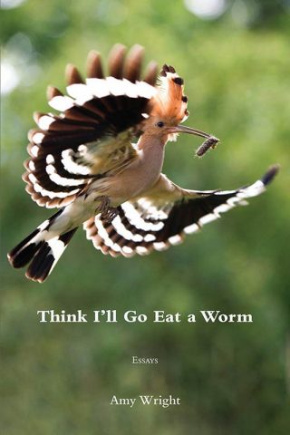 Essay collection "Think I’ll Go Eat a Worm" Essay collection "Think I’ll Go Eat a Worm"
