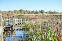 Wetlands Walk