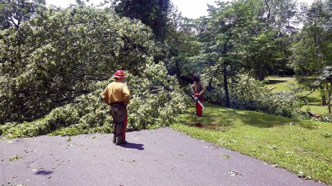 Downed tree blocking a road at Land Between the Lakes. (LBL) Downed tree blocking a road at Land Between the Lakes. (LBL)