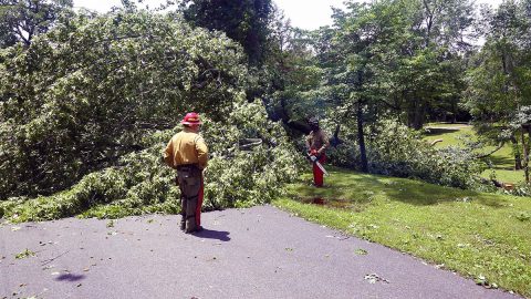 Downed tree blocking a road at Land Between the Lakes. (LBL)