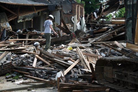 A regional K-9 rescue team searches the Wesley Chapel rubble.