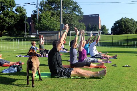 Soldiers from Fort Campbell's Warrior Transition Battalion and their Family members had a chance to discover new activities, together, during USO Warrior Week at Austin Peay State University recently. (U.S. Army photo by Maria Yager)