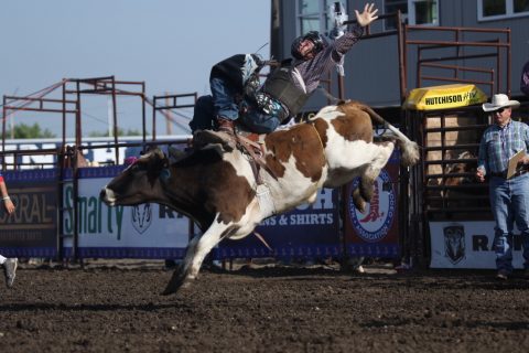 Eli Bock Eli Bock