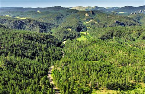 Black Hills Black Hills