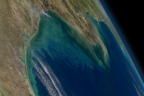 NASA's Geosynchronous Littoral Imaging and Monitoring Radiometer (GLIMR) instrument will collect high-resolution observations of coastal ecosystems in such areas as the northern Gulf of Mexico, shown in this image with phytoplankton blooms stretching from the Texas and Louisiana coast (left) across the Mississippi River delta (center) toward Florida (far right). (NASA)