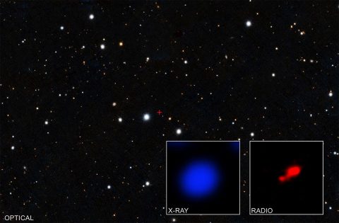 Data from NASA’s Chandra X-ray Observatory have revealed what may be the most distant shrouded black hole. (X-ray: NASA/CXO/Pontificia Universidad Catolica de Chile/F. Vito; Radio: ALMA (ESO/NAOJ/NRAO); optical: Pan-STARRS)