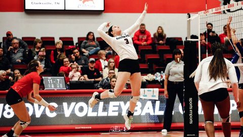 Austin Peay Volleyball travels to Missouri for the Mizzou Invitational this Friday and Saturday. (APSU Sports Information)