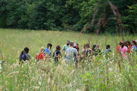 Austin Peay State University's Dr. Dwayne Estes, with the Southeastern Grasslands Initiative, works with freshmen volunteers. (APSU)